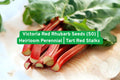 Victoria Red Rhubarb Seeds – Heirloom Perennial, Tart Stalks, Non-GMO, Easy to Grow, for Pies, Sauces & Preserves