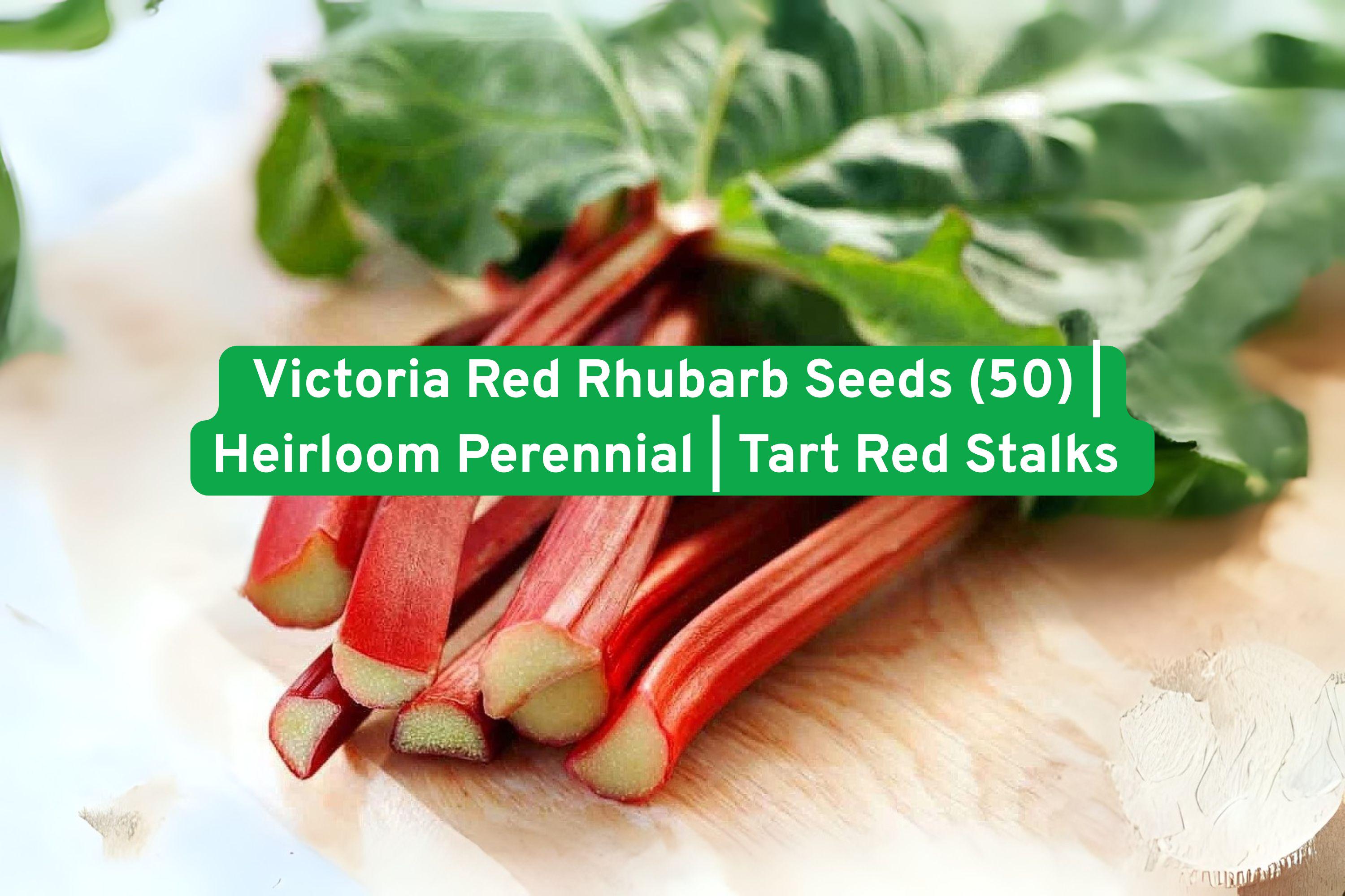 Victoria Red Rhubarb Seeds – Heirloom Perennial, Tart Stalks, Non-GMO, Easy to Grow, for Pies, Sauces & Preserves