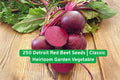 Detroit Red Beet Seeds – Heirloom Non-GMO Vegetable Seeds for Salads, Roasting, Pickling & Juicing, 250+ Seeds