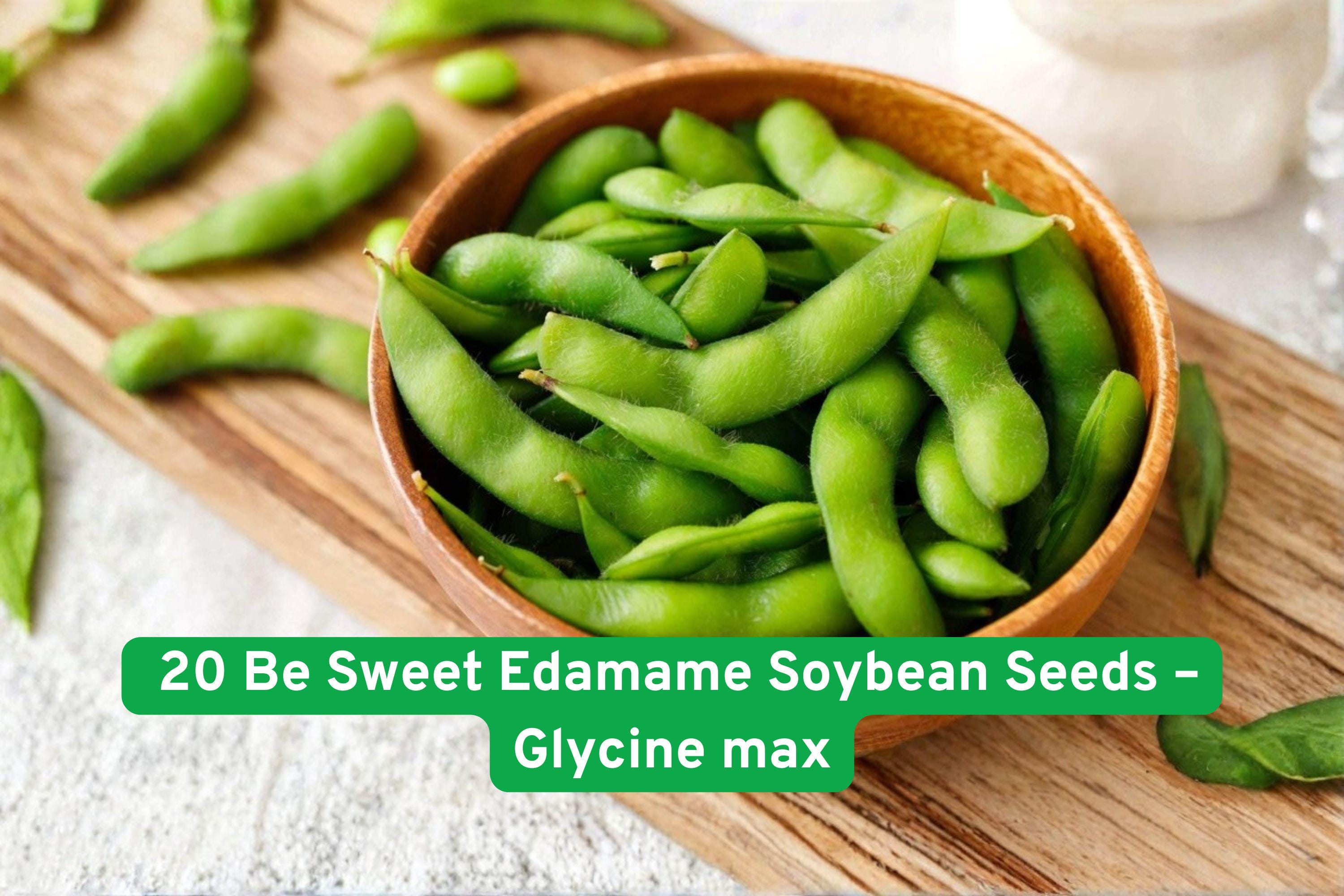 20 Be Sweet Edamame Seeds, High-Yield Soybean, Early Maturing Glycine max, Compact Vegetable Plant for Home Gardens