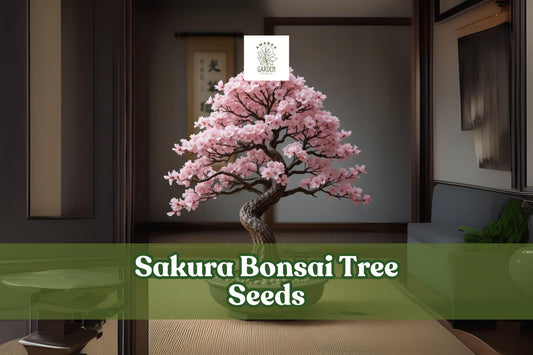 Sakura Bonsai Tree Seeds | Prunus serrulata | Ornamental Cherry Blossom Seeds for Bonsai & Garden