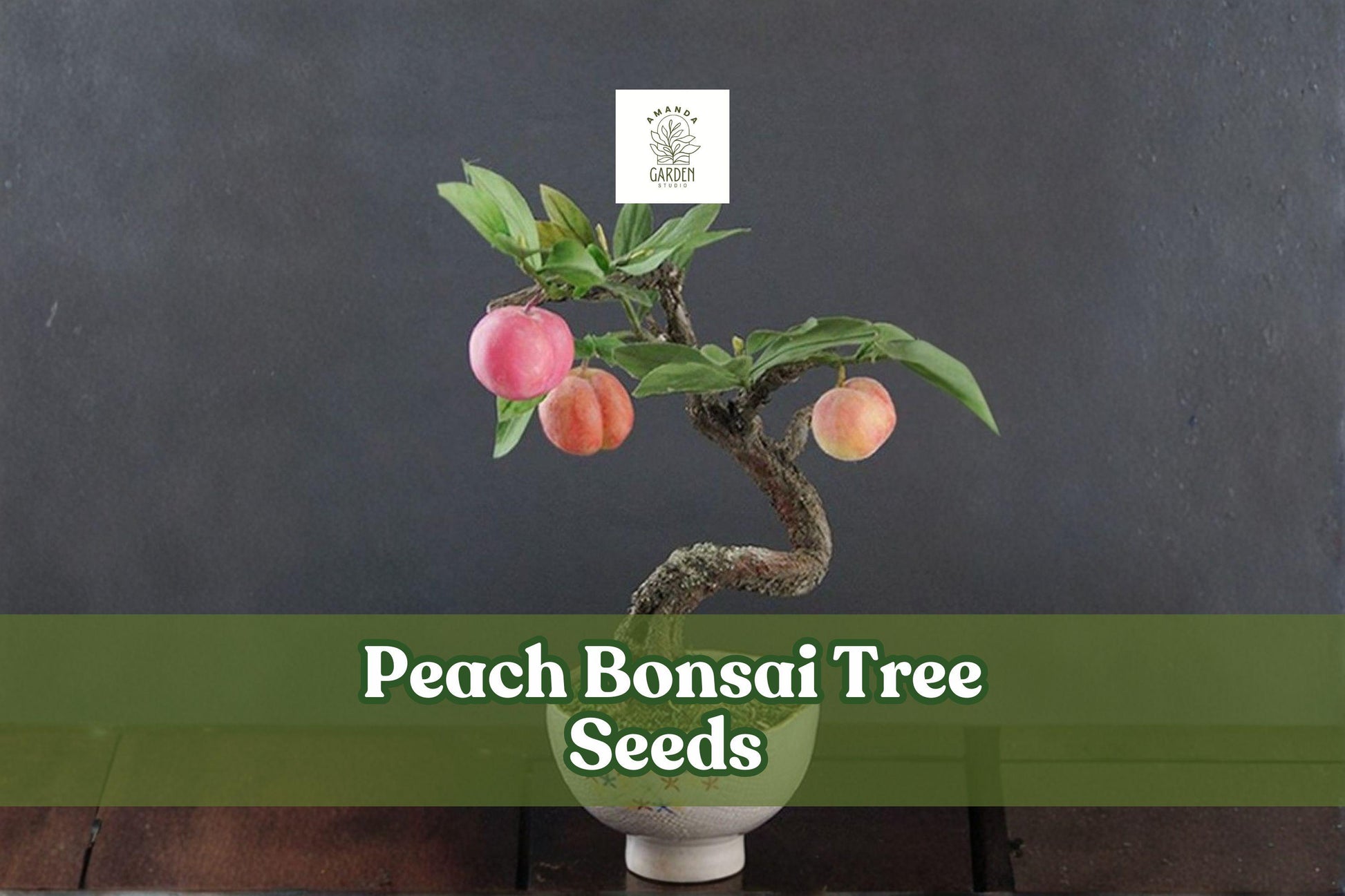 Peach Bonsai Tree Seeds - Prunus persica Fruit-Bearing Miniature Tree for Indoor & Outdoor Gardening, 4 Large Seeds
