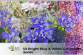 Blue & White Columbine Seeds – Perennial Flowering Plant, Aquilegia spp., Attracts Pollinators, Garden Borders & Rock Gardens
