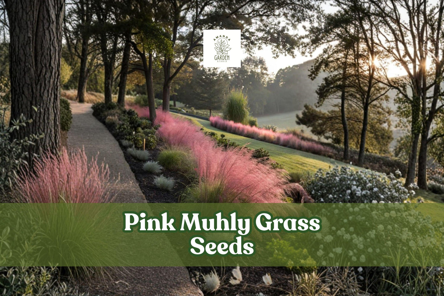 Pink Muhly Grass Seeds | Muhlenbergia capillaris | Drought Tolerant Ornamental Grass | 30 Seeds