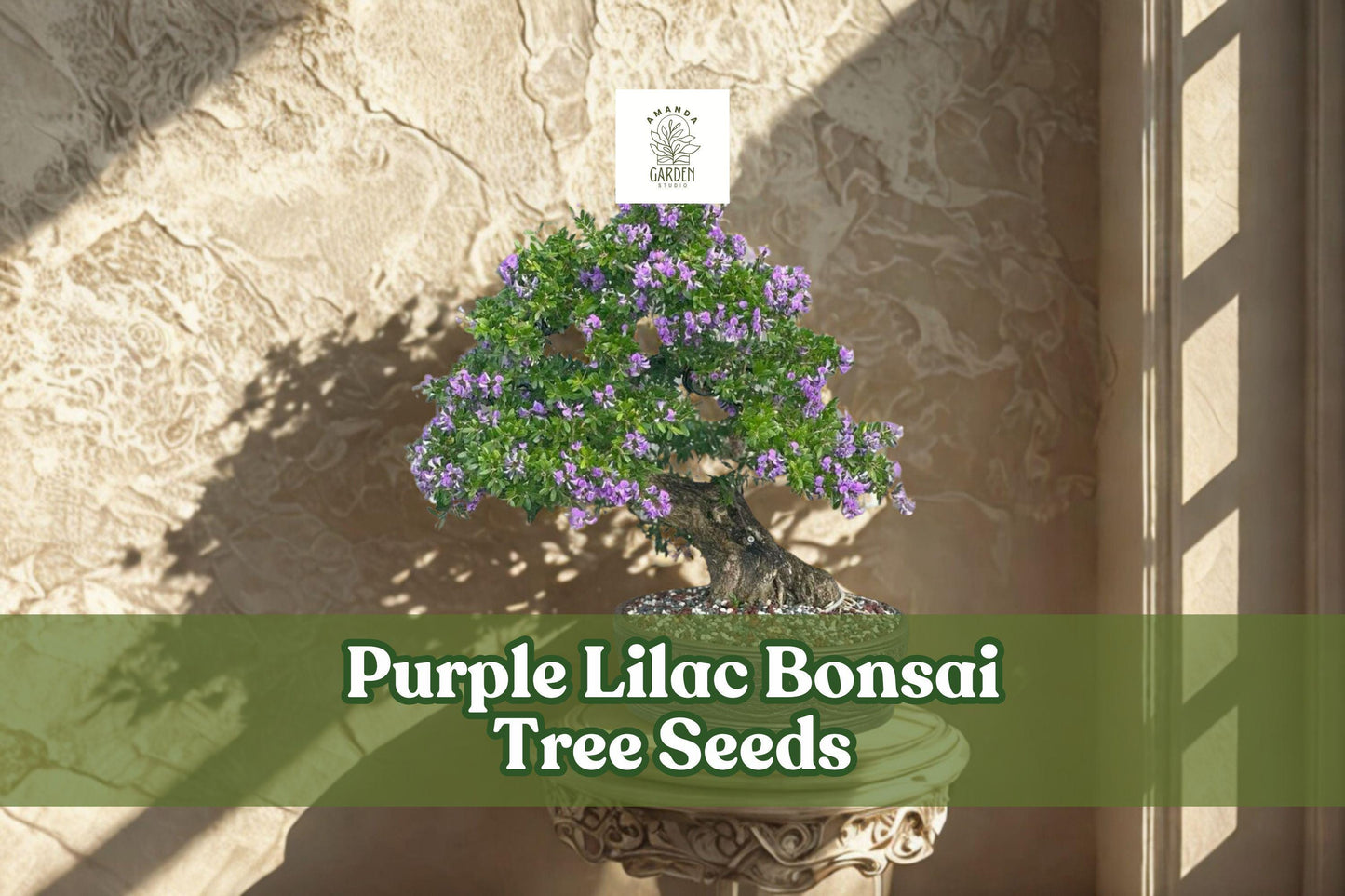 Purple Lilac Bonsai Seeds - Syringa vulgaris, Fragrant Purple Flowers, Flowering Shrub, 30+ Seeds