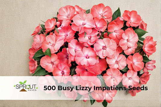 500 Busy Lizzy Impatiens ‘Rose Star’ Seeds, Impatiens walleriana, Vibrant Pink Rose-Patterned Flowers, Sun & Shade Tolerant Annual