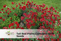 Red Plains Coreopsis Seeds – 1000 Non-GMO Wildflower Seeds for Pollinator Gardens, Annual Flower, Coreopsis tinctoria