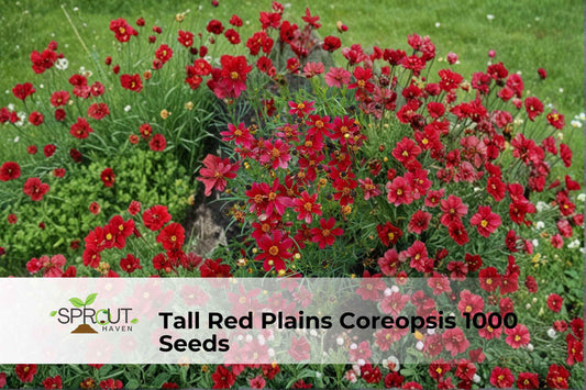 Red Plains Coreopsis Seeds – 1000 Non-GMO Wildflower Seeds for Pollinator Gardens, Annual Flower, Coreopsis tinctoria