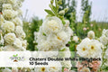 Chaters Double White Hollyhock Seeds – Heirloom Alcea rosea, Cottage Garden Flower, Pollinator-Friendly, 10 Seeds
