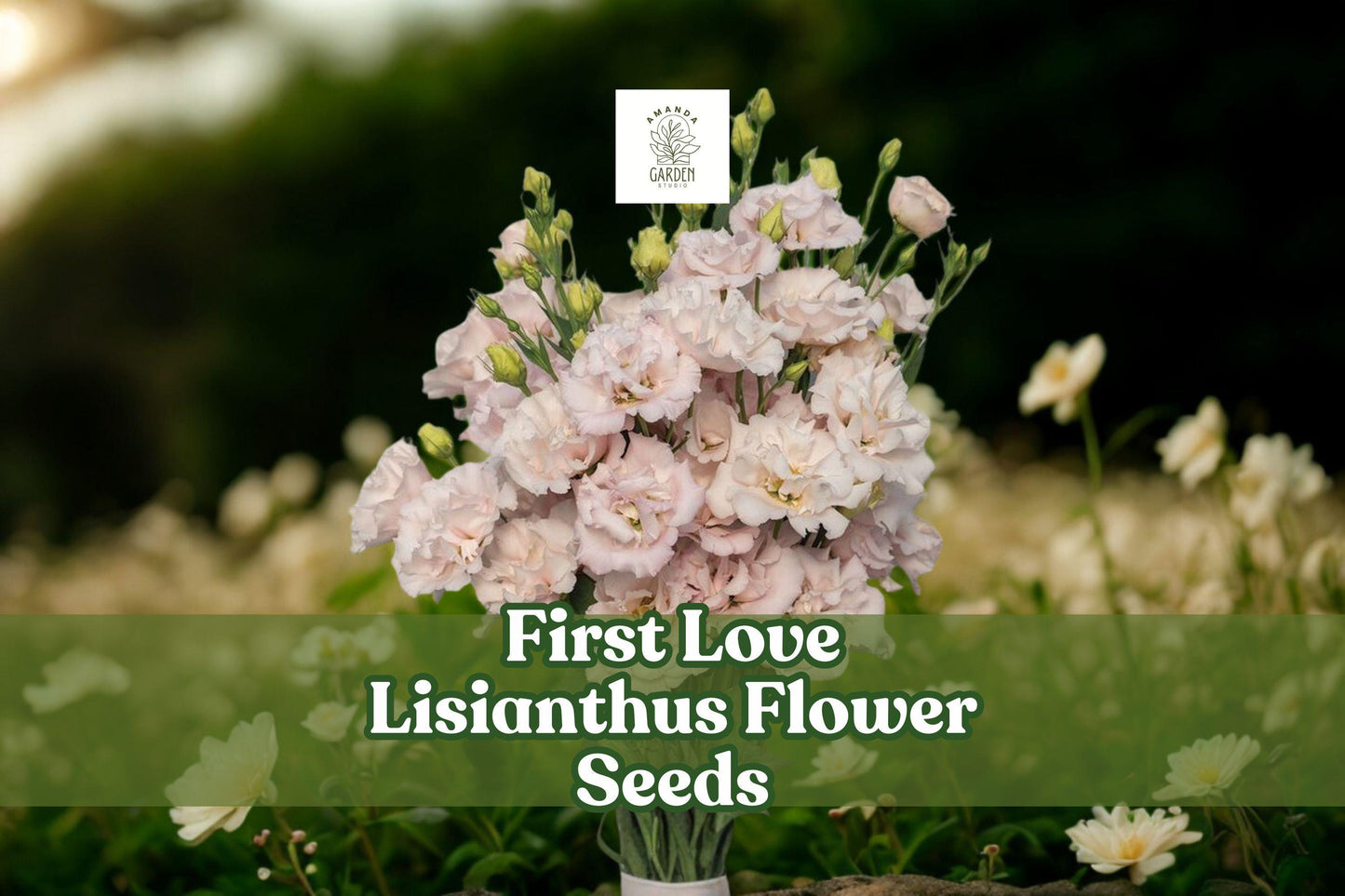 First Love Lisianthus Seeds – Soft Pink Eustoma Grandiflorum Pelleted Seeds for Garden, Vase, Floral Arrangements