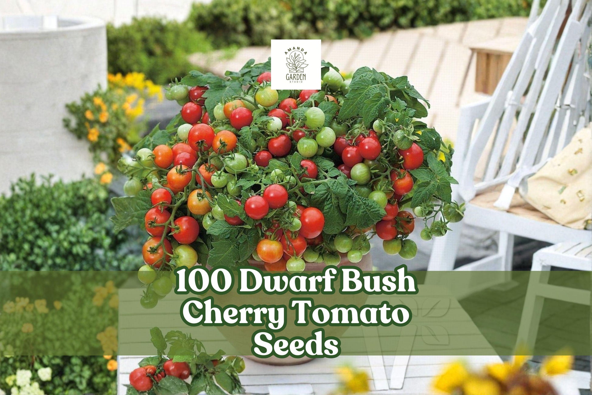 Dwarf Bush Cherry Tomato Seeds 100 Count | Compact Solanum lycopersicum for Containers & Small Gardens