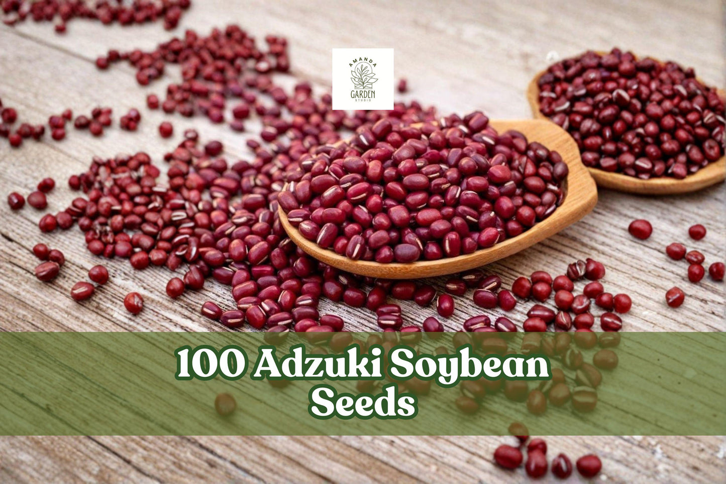 Adzuki Soybean Seeds, Red Bean Legume, Vigna angularis, Heirloom Variety for Garden Planting