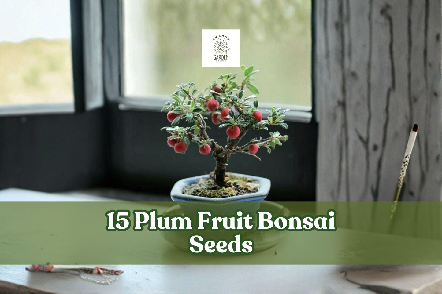 15 Plum Fruit Bonsai Seeds Prunus americana for Ornamental Tree, Container or Garden Planting