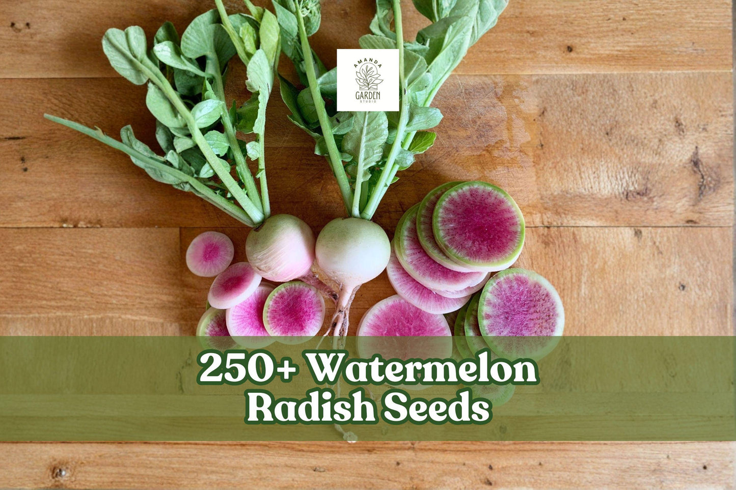 Watermelon Radish Seeds – 250+ Heirloom Raphanus sativus for Home Gardening, Container, Raised Bed, Pink Center