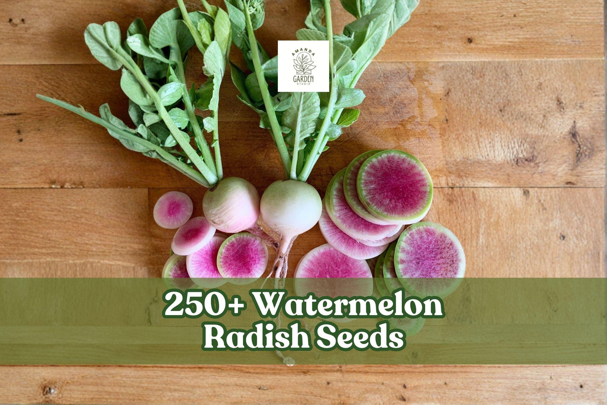 Watermelon Radish Seeds – 250+ Heirloom Raphanus sativus for Home Gardening, Container, Raised Bed, Pink Center