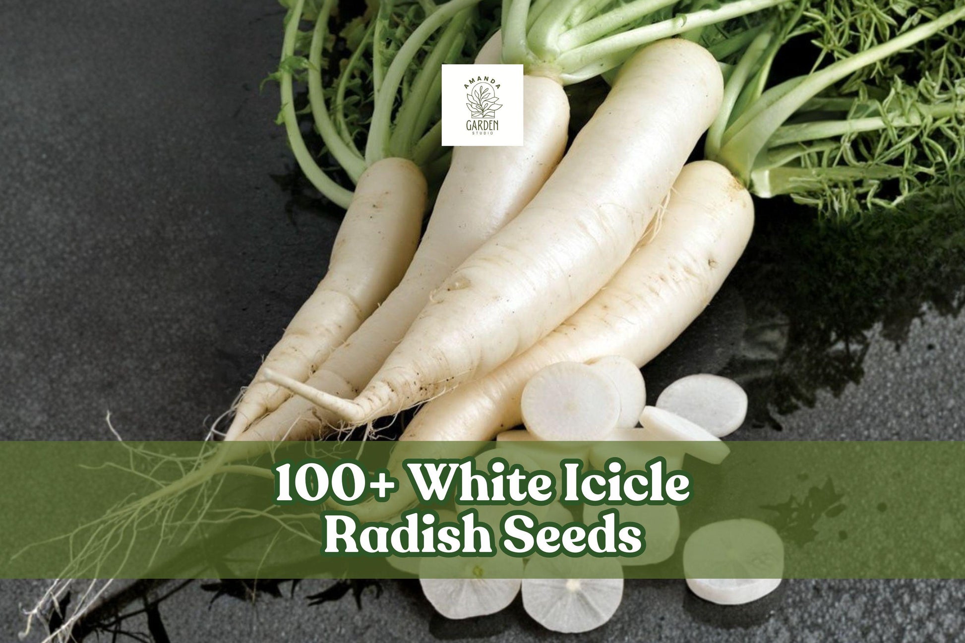 White Icicle Radish Seeds – Non-GMO Heirloom Raphanus sativus, Long, Slender White Radish for Home Garden, Containers, Raised Beds