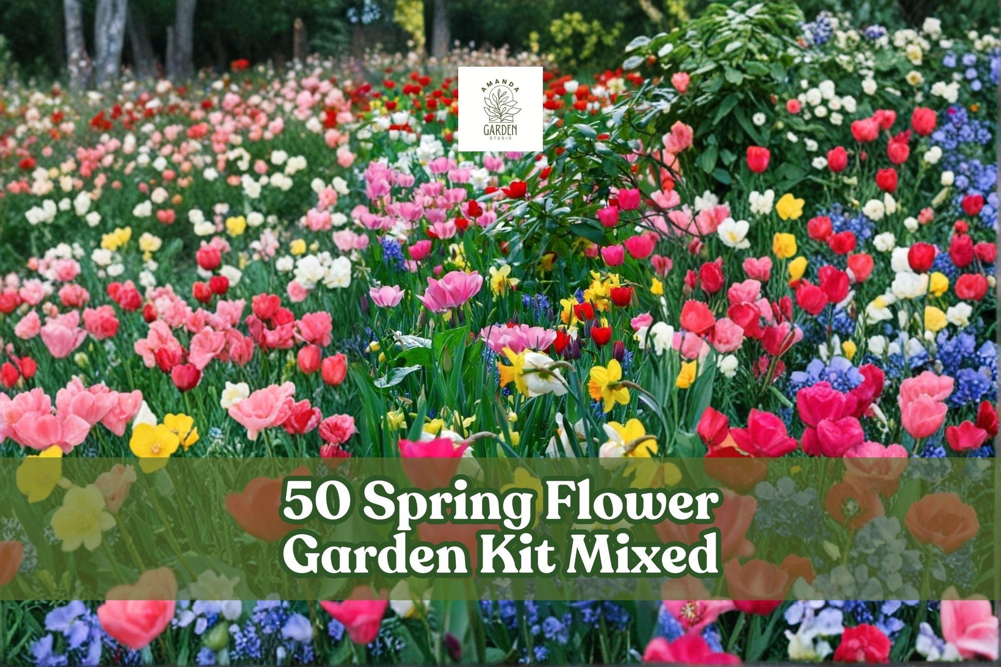 Spring Flower Garden Kit with 50 Mixed Fall Planting Bulbs for Colorful Spring Blooms - Flowering Plant Collection