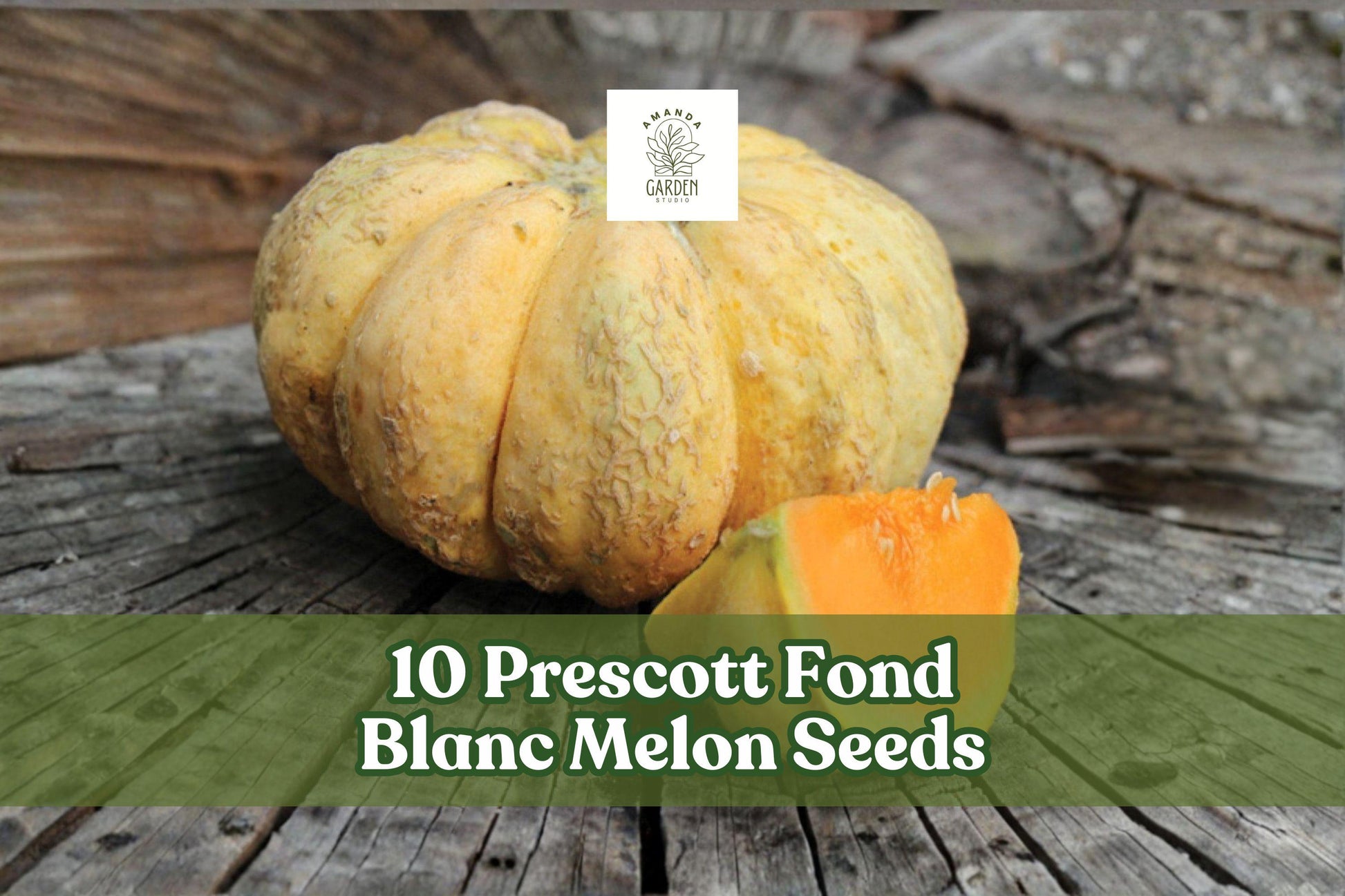 10 Prescott Fond Blanc Melon Seeds – Rare French Heirloom Cucumis melo with Ribbed Pumpkin-Like Exterior and Salmon-Orange Flesh