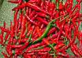 Red Long Cayenne Pepper Seeds – Heirloom Chili Vegetable for Spicy Slim Peppers, 25 Seeds, Organic, Non-GMO, Gourmet Cooking