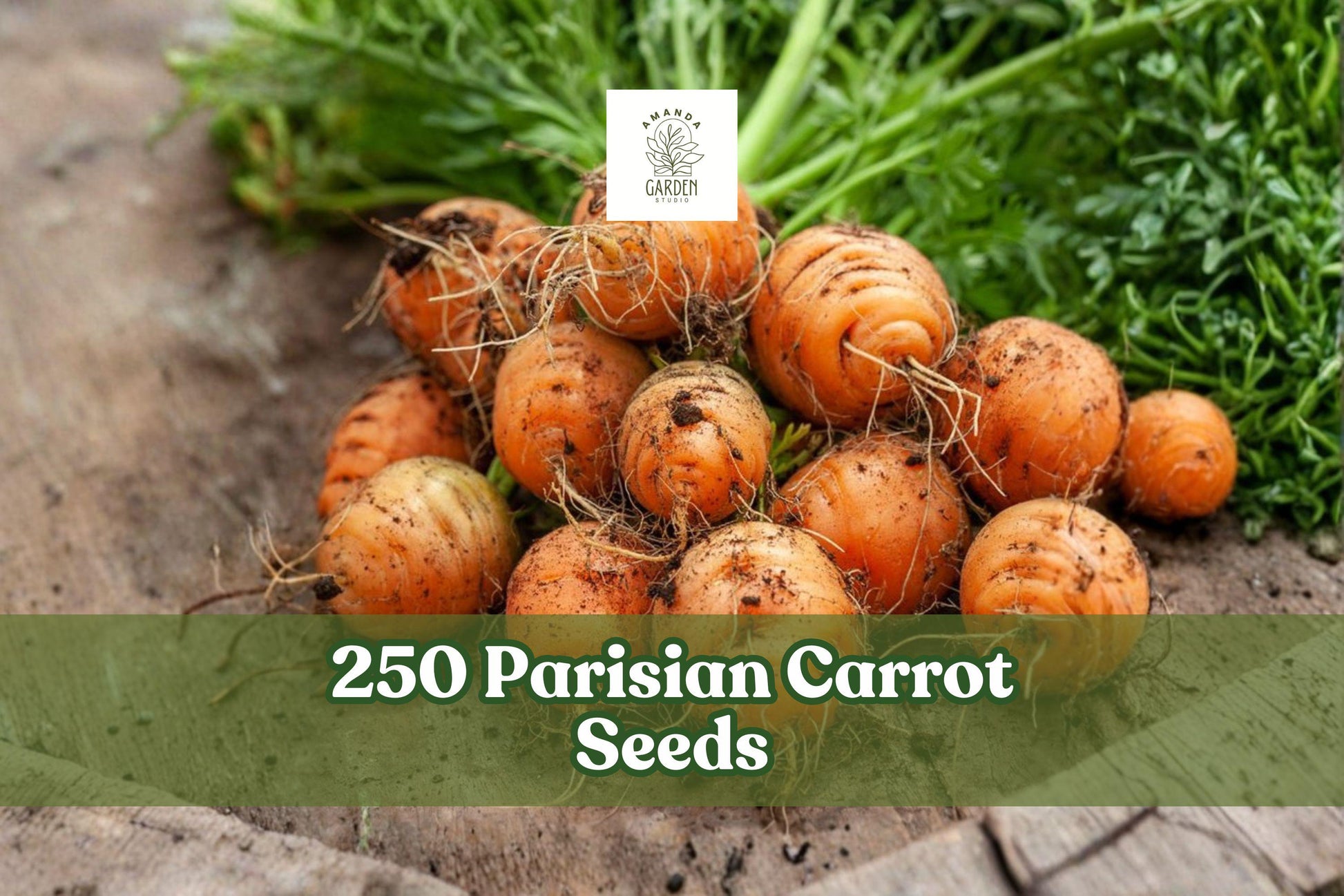 250 Parisian Carrot Seeds - Heirloom Non-GMO Daucus carota subsp. sativus for Garden, Container, Raised Bed Planting