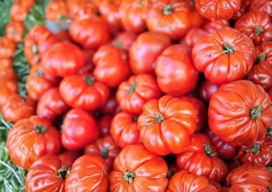 Heirloom Beefsteak Tomato Seeds – Large Juicy Slicing Tomatoes for Warm Season Gardens, Organic Vegetable Seeds