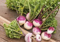 Purple Top White Globe Turnip Seeds – Heirloom Root Vegetable, Garden Planting, 500 Seeds, New Harvest Quality