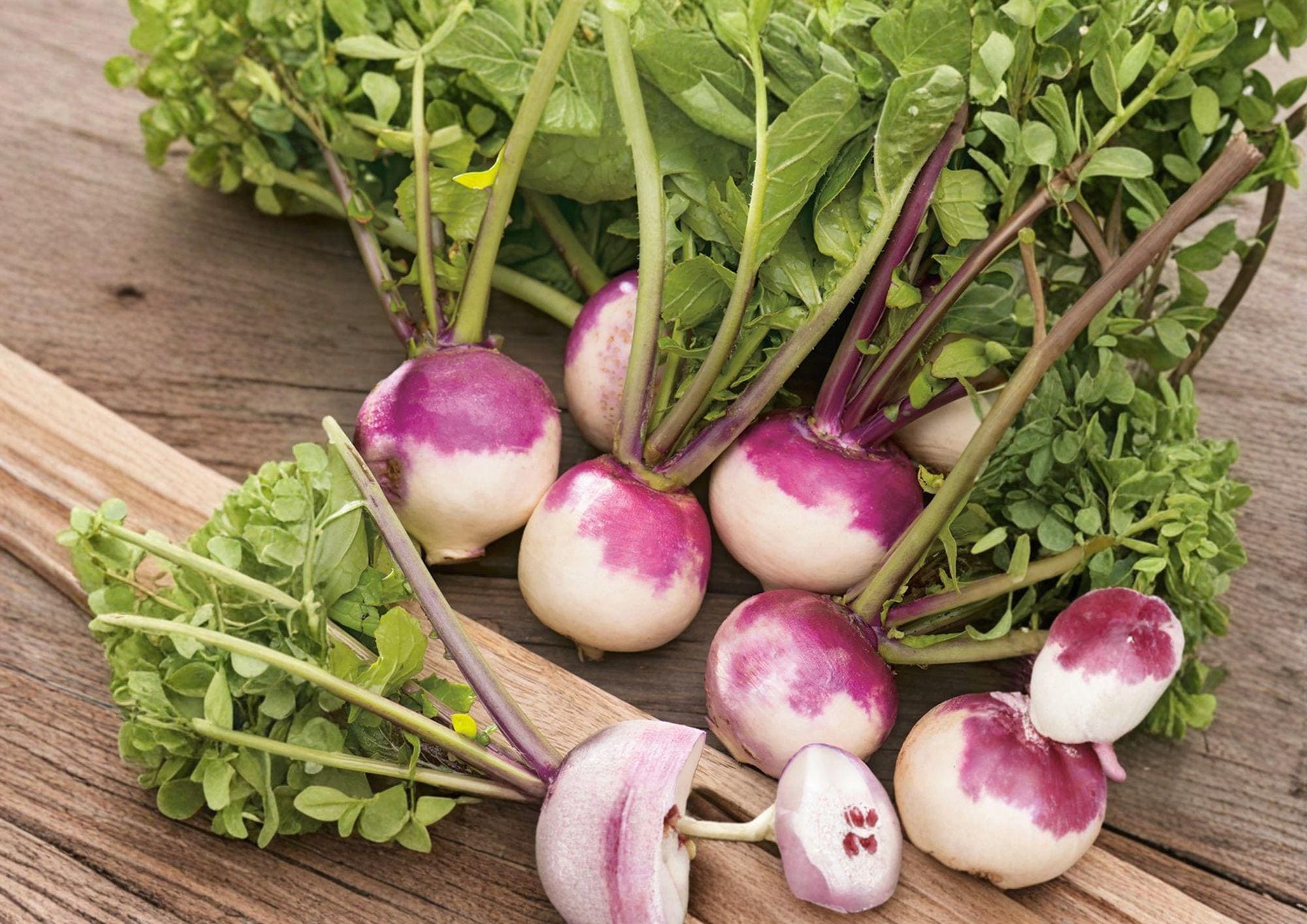 Purple Top White Globe Turnip Seeds – Heirloom Root Vegetable, Garden Planting, 500 Seeds, New Harvest Quality