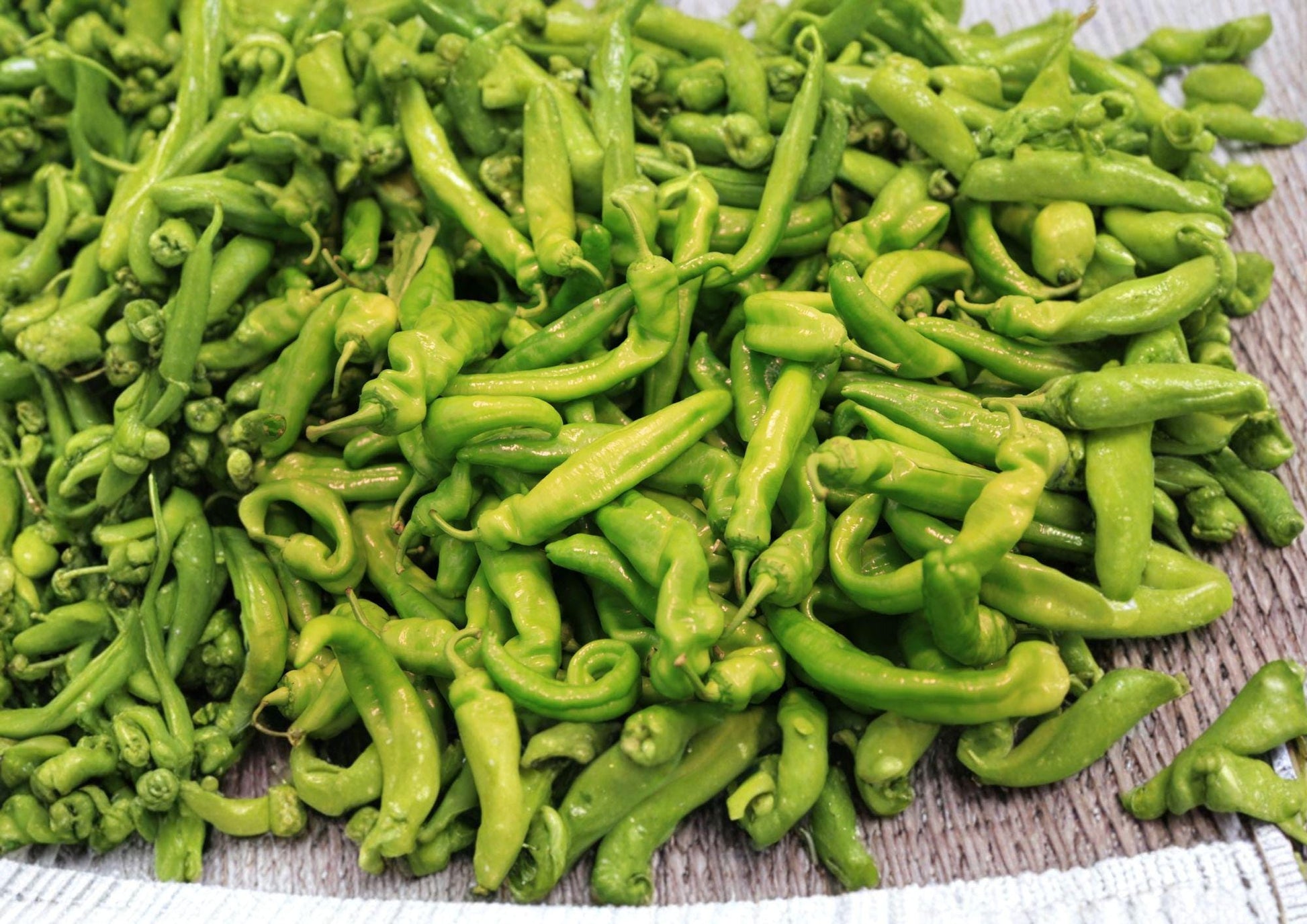 Heirloom Pepperoncini Seeds – Mild Tangy Italian Sweet Peppers, 25 Seeds | BloomHavenNursery