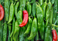 Sandia Hot Pepper Seeds – Heirloom New Mexico Red Green Chili Garden Seeds – Non-GMO, Spicy Peppers, Vegetable Seeds