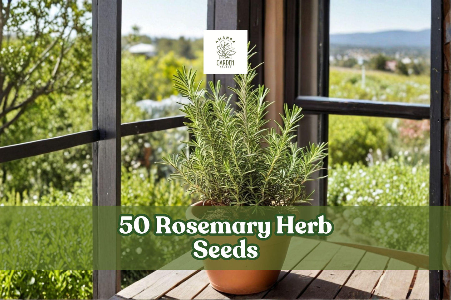 Rosemary Herb Seeds Pack, Salvia rosmarinus, Evergreen Aromatic Foliage, Culinary & Ornamental Garden Planting