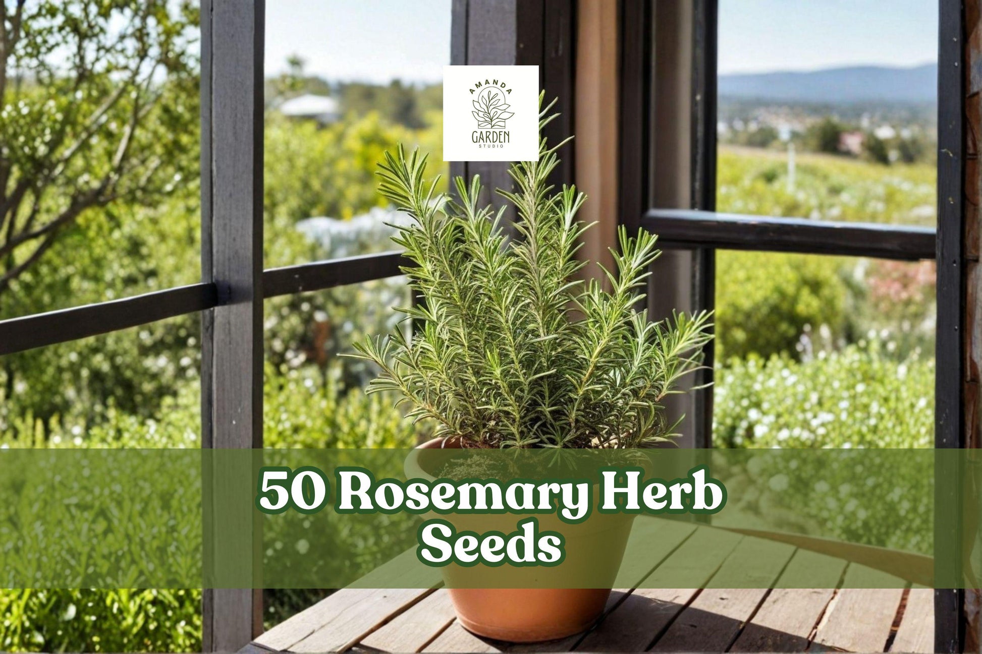 Rosemary Herb Seeds Pack, Salvia rosmarinus, Evergreen Aromatic Foliage, Culinary & Ornamental Garden Planting