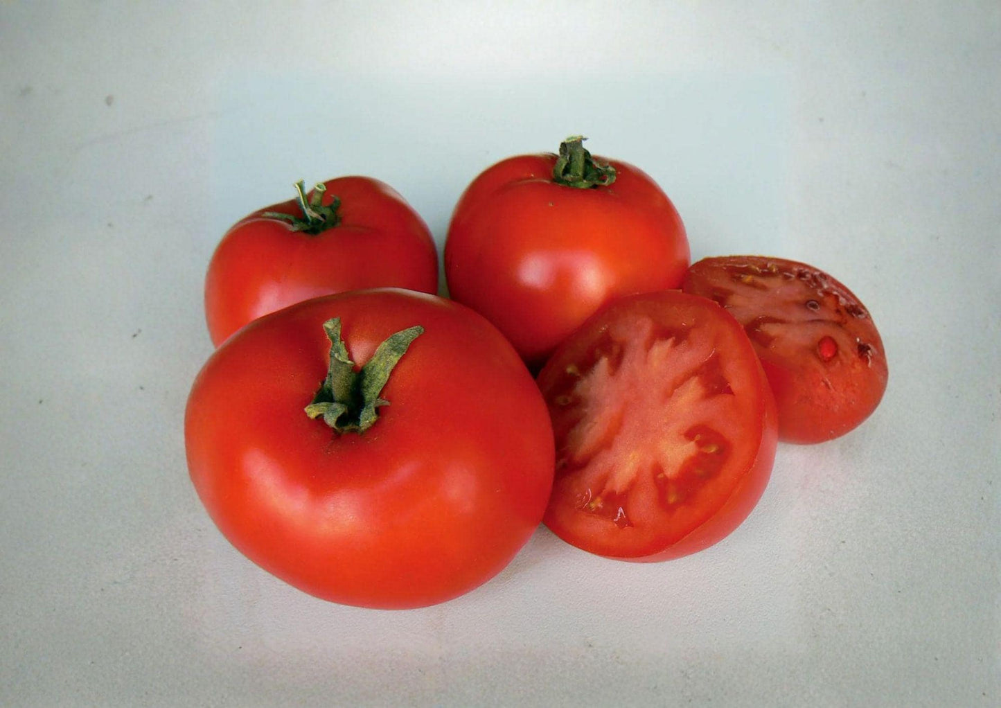 Legend Tomato Seeds – Heirloom Red Slicing Variety, Early Blight Resistant, Garden Seed, Solanum lycopersicum