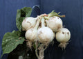 Ringmaster Onion Seeds – 50 Heirloom Vegetable Seeds for Large Mild White Bulbs, Garden Planting, Allium cepa