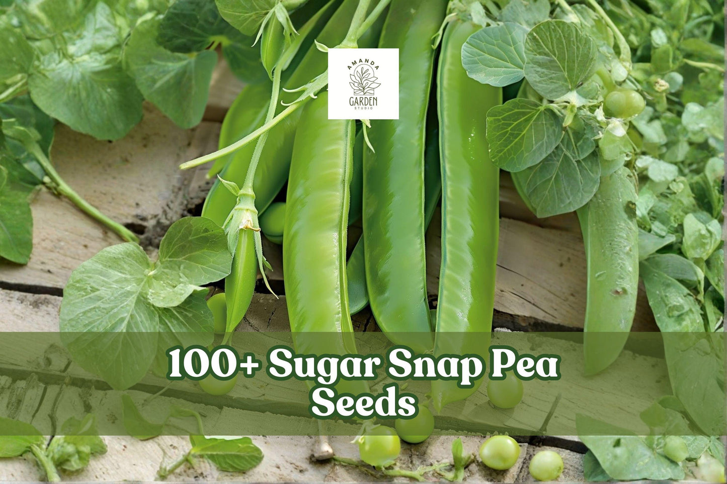 100+ Sugar Snap Pea Seeds Pisum sativum Climbing Vegetable for Garden, Sweet Crisp Pods, Cool Season Plant