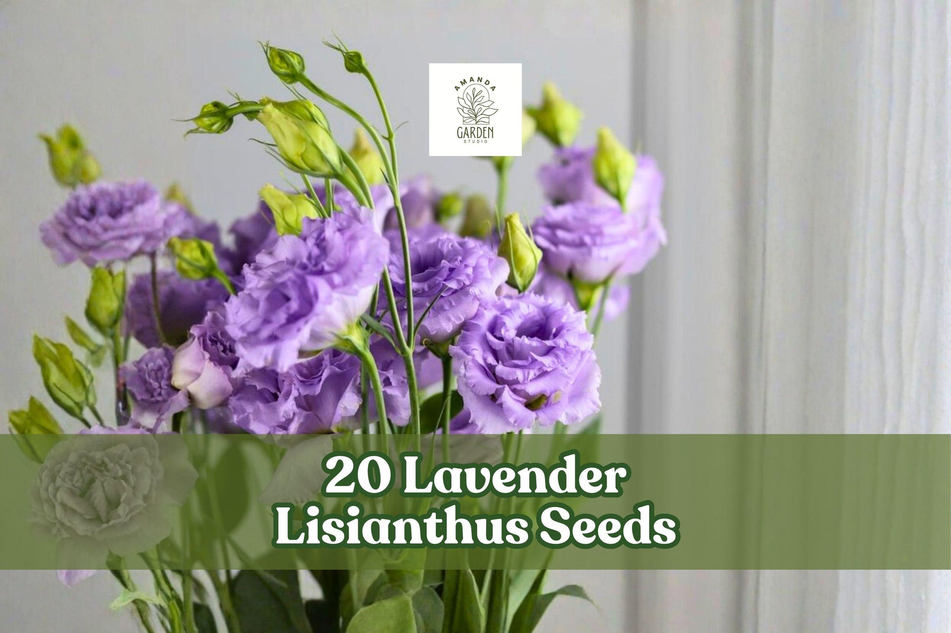 20 Lavender Lisianthus Seeds – Eustoma grandiflorum Flower Seeds for Garden Beds & Cut Flowers