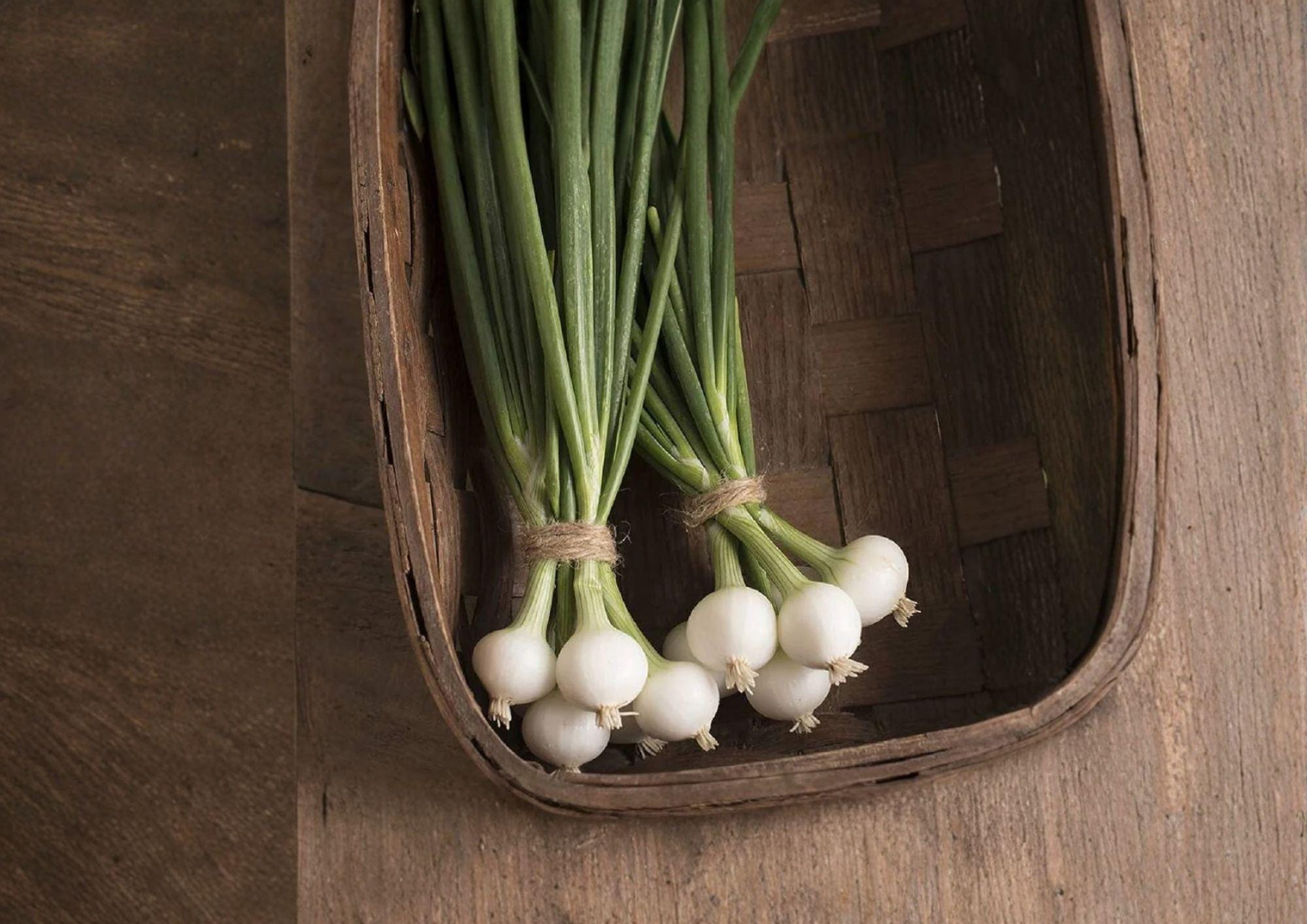 Blanco Duro Onion Seeds – Heirloom White Storage Onions for Garden Growing – Allium cepa