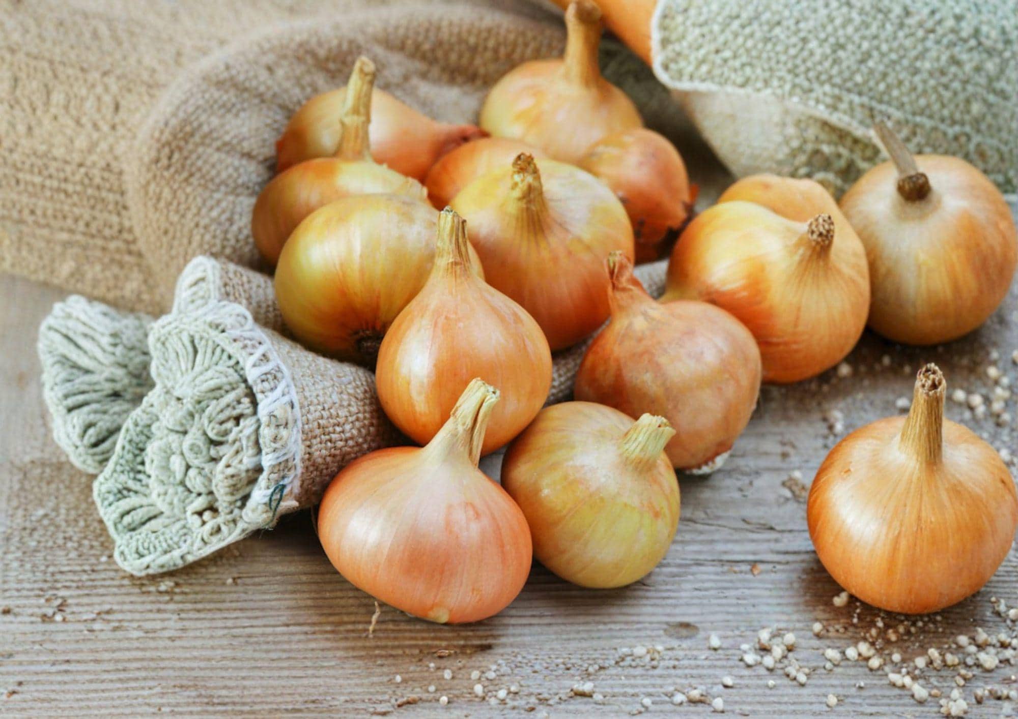 Burrell's Yellow Valencia Onion Seeds – 50 Heirloom Garden Vegetable Seeds for Planting, Organic, Non-GMO