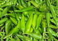 Lumbre Hot Pepper Seeds – 25 Heirloom Fiery Red Chili Vegetable Seeds for Garden Growing - BloomHavenNursery