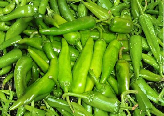 Lumbre Hot Pepper Seeds – 25 Heirloom Fiery Red Chili Vegetable Seeds for Garden Growing - BloomHavenNursery