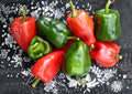 Ancho Poblano Pepper Seeds – Heirloom Mexican Chili Vegetable Garden Growing – 25 Seeds