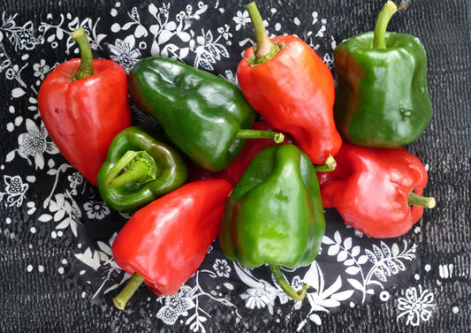 Ancho Poblano Pepper Seeds – Heirloom Mexican Chili Vegetable Garden Growing – 25 Seeds