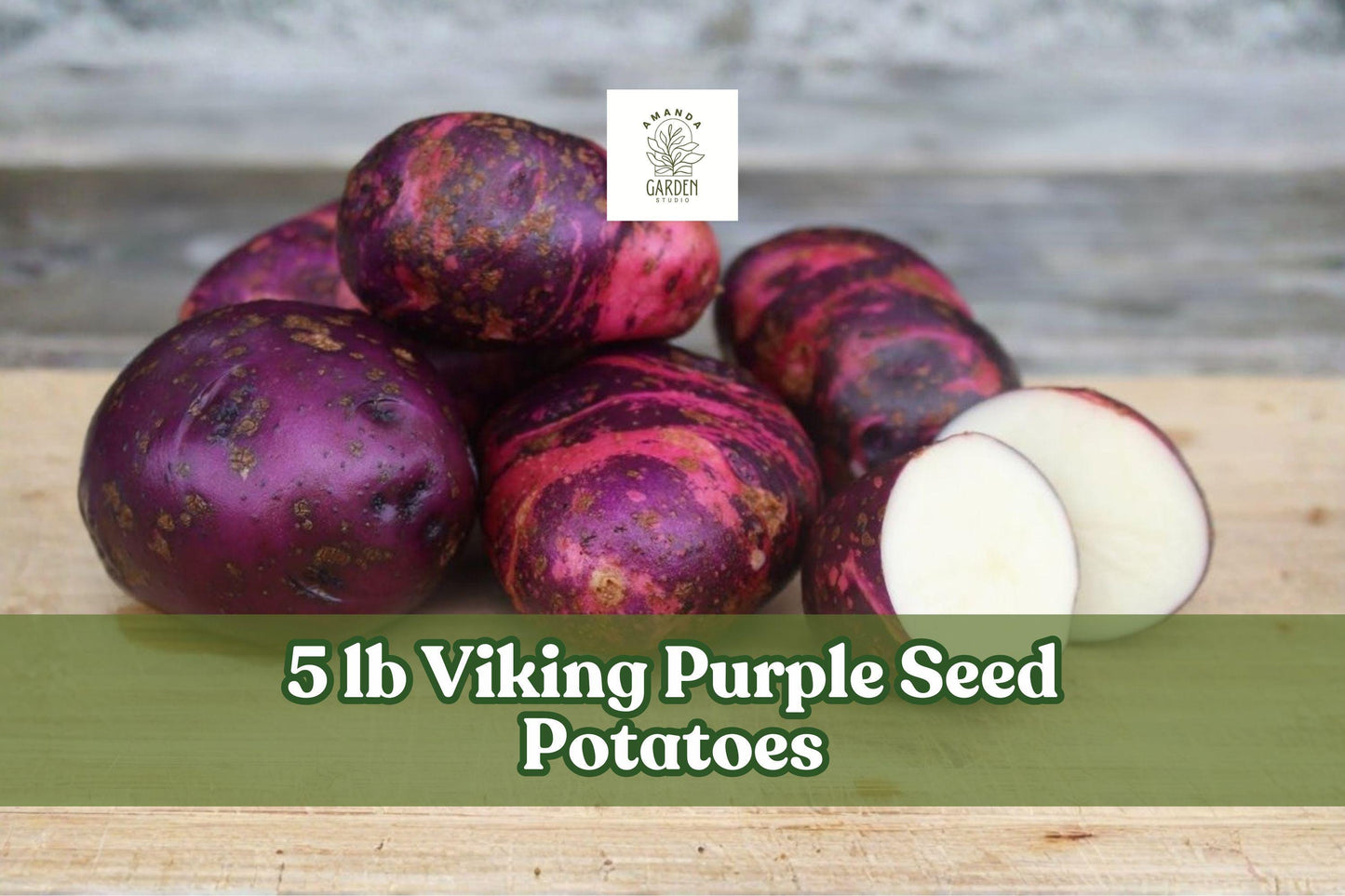 Viking Purple Seed Potatoes 5 lb | Purple Skin Garden Crop | Solanum tuberosum