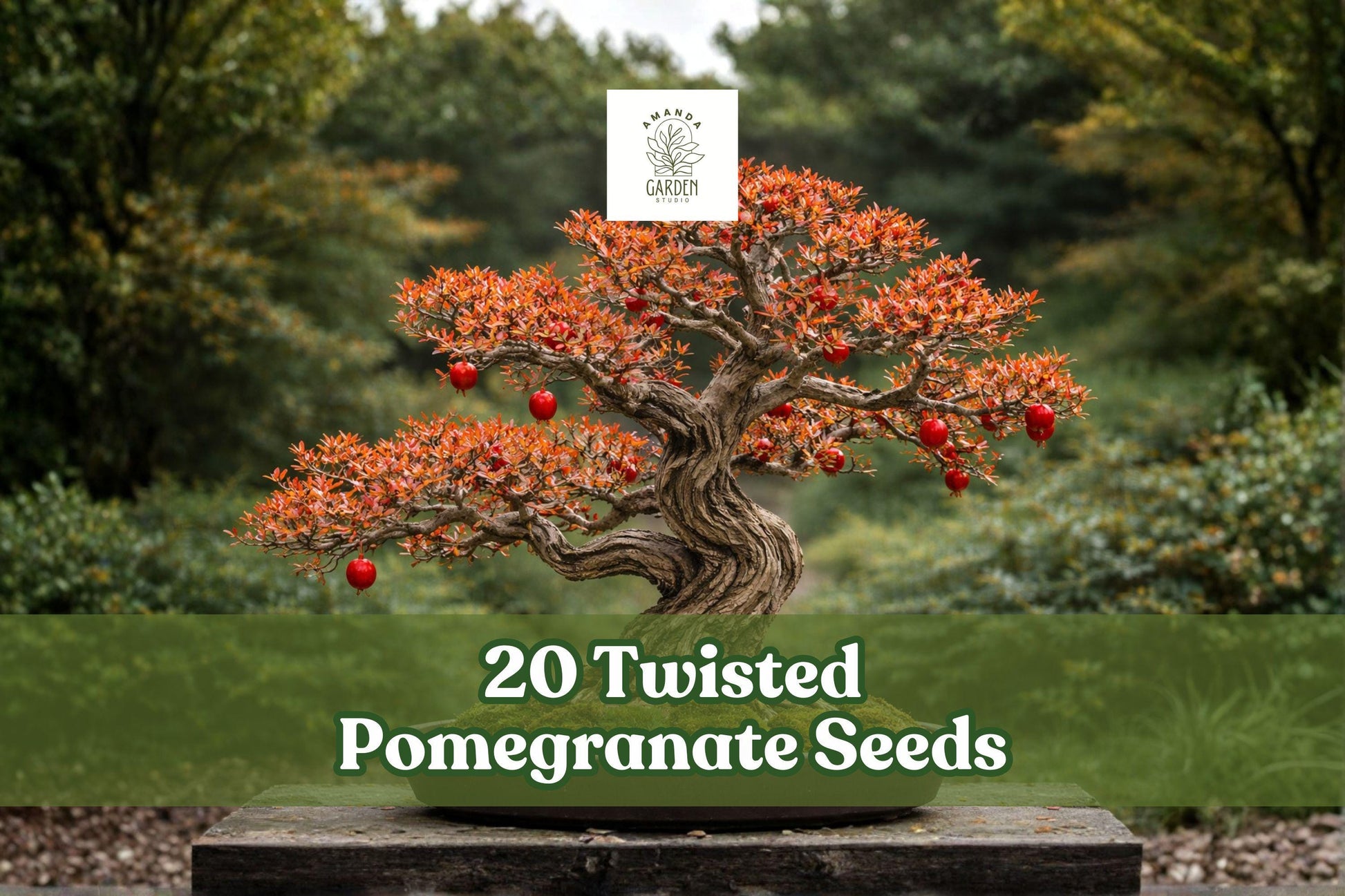 20 Twisted Pomegranate Seeds for Bonsai Tree, Punica granatum, Deciduous Fruit Tree, Ornamental Flowers & Fruit