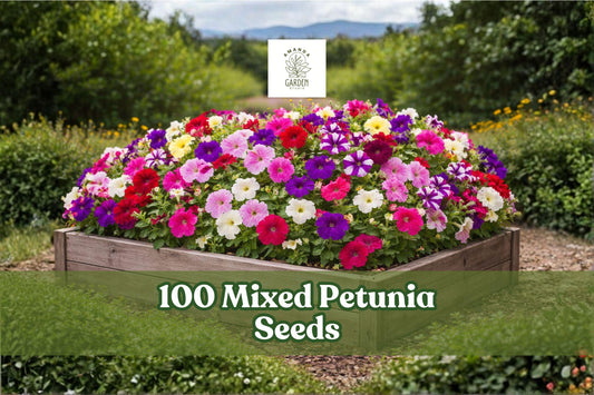 Mixed Petunia Seeds – Colorful Annual Flower for Garden Beds, Containers & Hanging Baskets – Petunia spp.