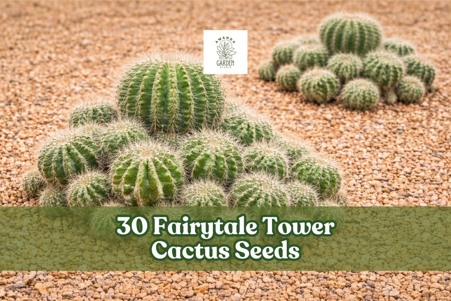 Fairytale Tower Cactus Seeds – Echinopsis mamillosa – Ornamental Columnar Succulent for Indoor & Outdoor Gardens