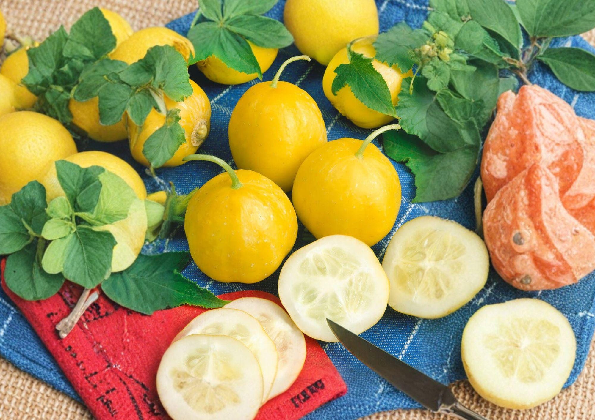 50+ Lemon Cucumber Seeds – Heirloom Non-GMO Sweet Tasty Pickling Vegetable, Round Yellow Cucumbers, High Yield Garden Plant USA