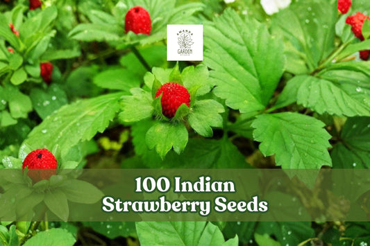 Indian Strawberry Seeds - Duchesnea indica Ground Cover, Creeping Perennial with Yellow Flowers & Red Fruits, 100 Seeds