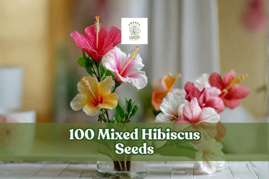 Mixed Hibiscus Seeds - 100+ Vibrant Colorful Flowers for Garden & Containers - Perennial Tropical-Style Blooms Hibiscus spp.