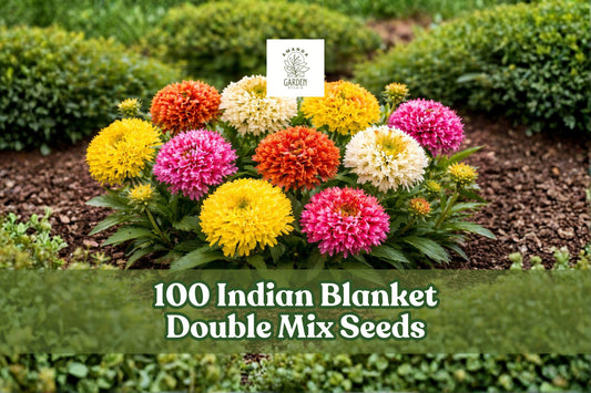 Indian Blanket Flower Seeds, Gaillardia pulchella Double Mix, Wildflower Seeds for Garden Beds & Pollinator Gardens