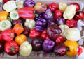 Rainbow Bell Pepper Seeds 7 Color Varieties, Sweet Pepper Seeds, Non-GMO, Heirloom, High Yield, Garden Planting, BloomHavenNursery
